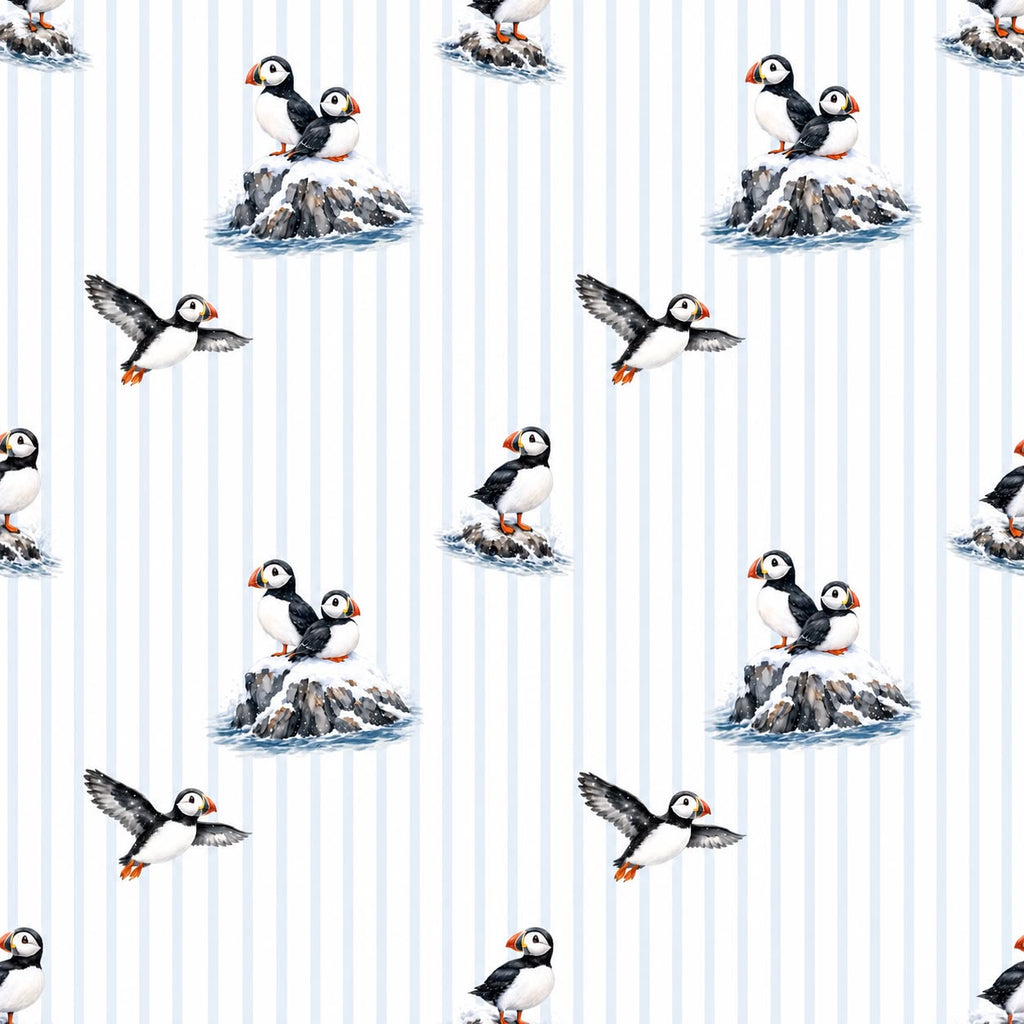 Frost & Feathers | Zippy